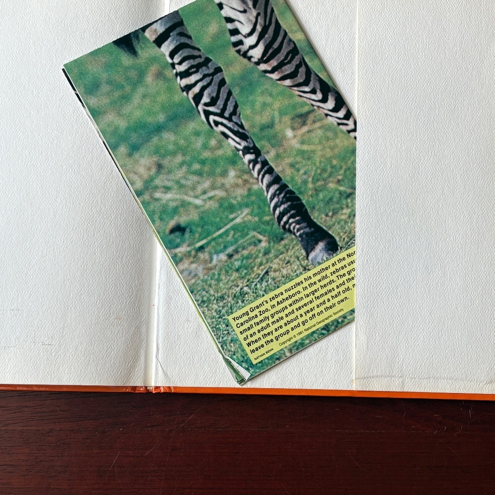 Animal Book Bundle - Picture 11 of 12